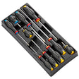 Modul Schraubendreher 10-teilig