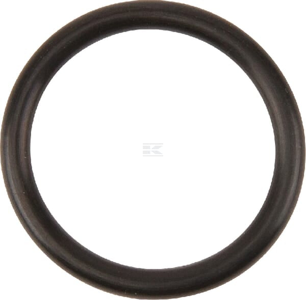O-Ring