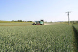 Oehler Oehler OL STT 180