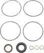 Dichtungssatz OMM Serie 3 151G0202