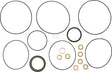 Dichtungssatz 151-1296 OMP/R-Serie