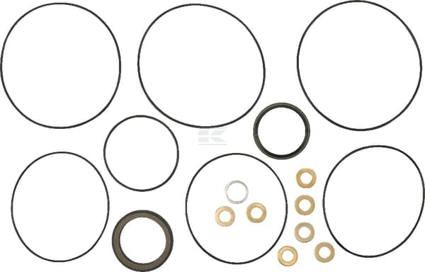 Dichtungssatz 151-1296 OMP/R-Serie