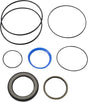 Dichtungssatz 151B0113, OMT