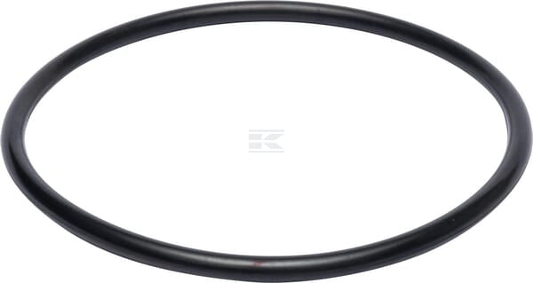 O-Ring 160 x 8