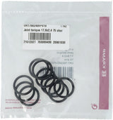O-Ring 17,6x2,4 75 shore Viton 10x