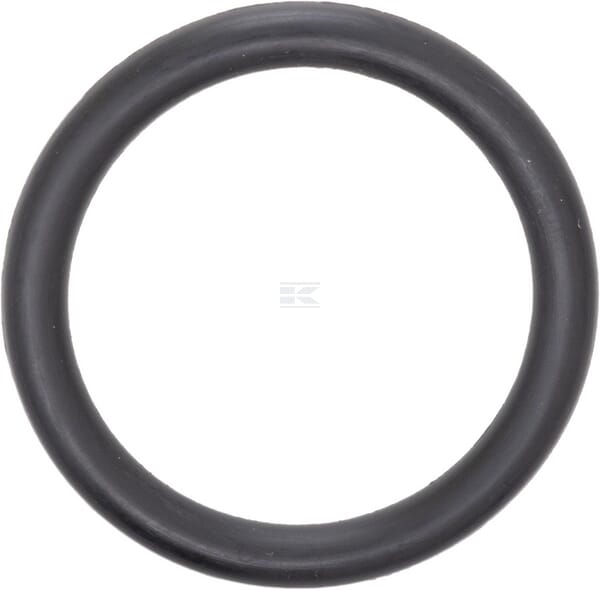 O-Ring 31x4,5 70 shore 10x