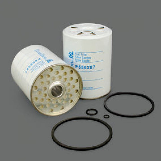 P556287 Kraftstoffwechselfilter