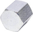Kappe, 1/4" BSP