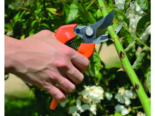 Gartenschere PG12