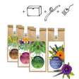Kräutergarten Pommerland Bio-Kräutertee im Geschenkkarton