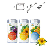 Kräutergarten Pommerland Bio-Kräutertee im Geschenkkarton
