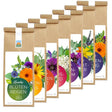 Kräutergarten Pommerland Bio-Kräutertee Probierpaket