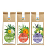 Kräutergarten Pommerland Paket Tee mit Mission