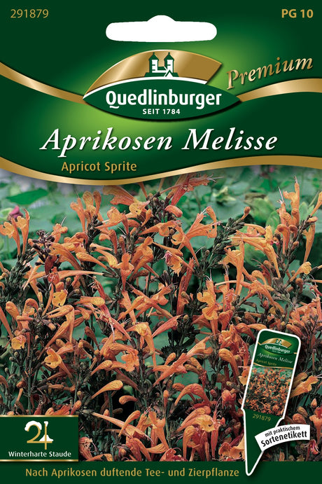 Quedlinburger Saatgut Aprikosen Melisse „Apricot Sprite“