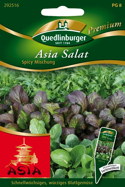 Quedlinburger Saatgut ASIA SALAT „SPICY MISCHUNG“