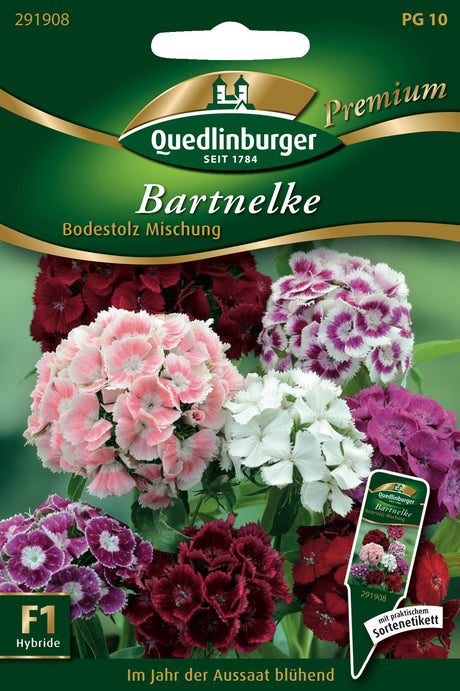 Quedlinburger Saatgut Bartnelke „Bodestolz Mischung“