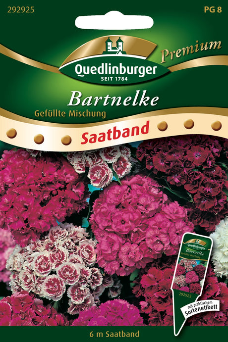 Quedlinburger Saatgut Bartnelke „Gefüllte Mischung“