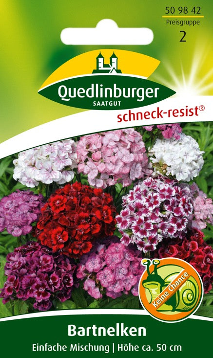 Quedlinburger Saatgut BARTNELKEN „EINFACHE MISCHUNG“