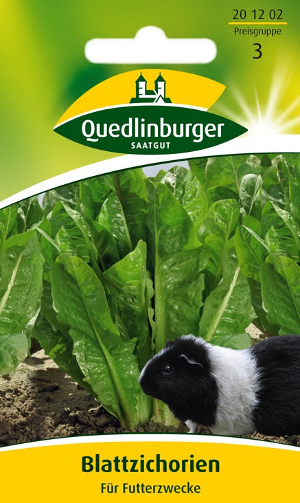 Quedlinburger Saatgut BLATTZICHORIEN (für FUTTERZWECKE)