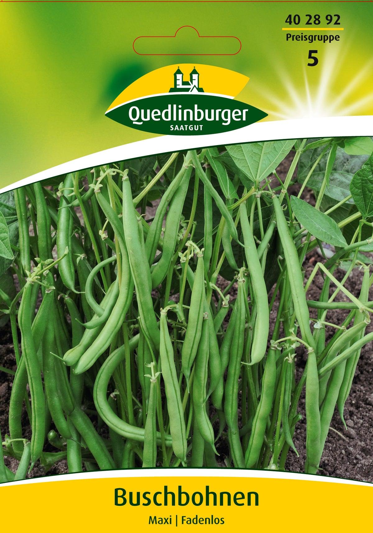 Quedlinburger Saatgut Buschbohnen Maxi