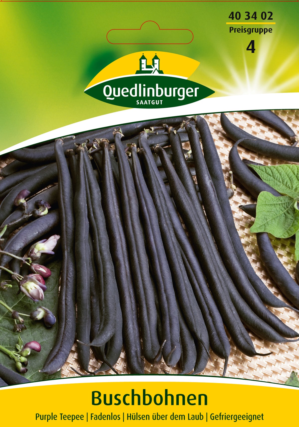 Quedlinburger Saatgut Buschbohnen „Purple Teepee“