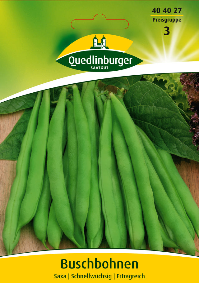 Quedlinburger Saatgut Buschbohnen „Saxa“