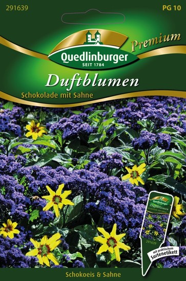 Quedlinburger Saatgut Duftblumen „Schokolade mit Sahne“