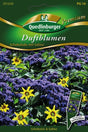 Quedlinburger Saatgut Duftblumen „Schokolade mit Sahne“