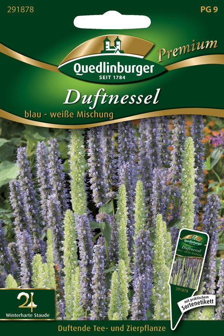 Quedlinburger Saatgut Duftnessel „blau – weiße Mischung“