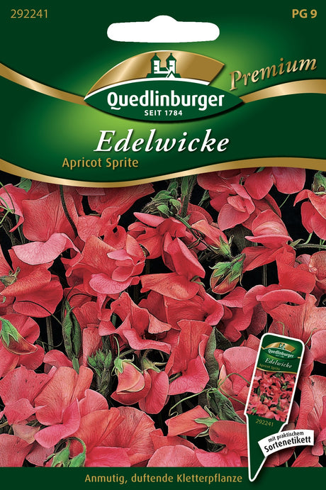 Quedlinburger Saatgut Edelwicke „Apricot Sprite“