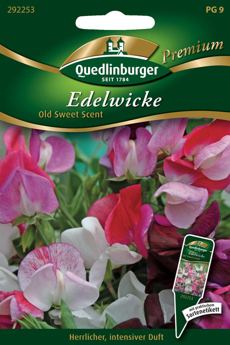 Quedlinburger Saatgut Edelwicke „Old Sweet Scent“