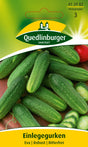 Quedlinburger Saatgut Einlegegurken „Eva“