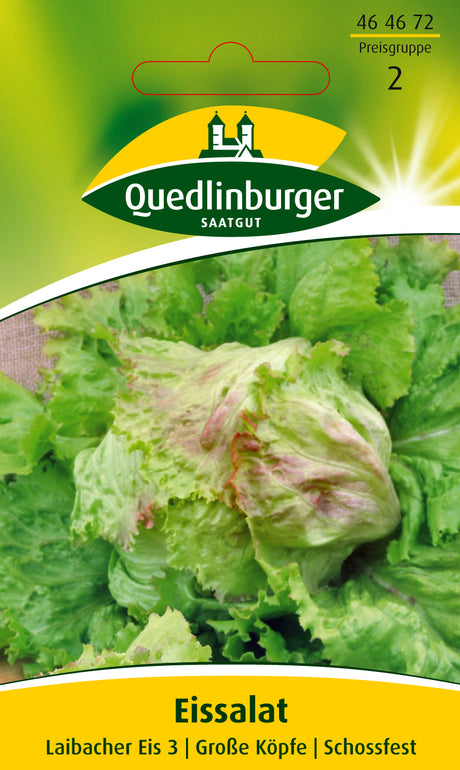 Quedlinburger Saatgut Eissalat „Laibacher Eis 3“