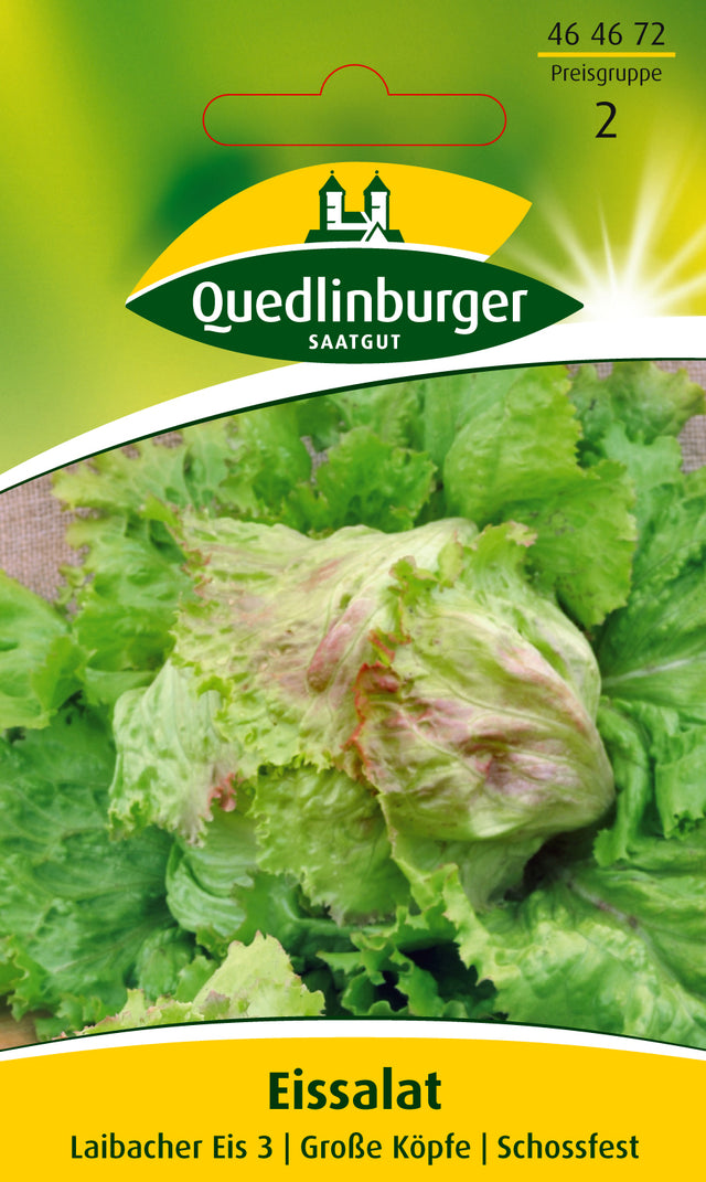 Quedlinburger Saatgut Eissalat „Laibacher Eis 3“