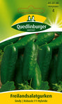 Quedlinburger Saatgut Freilandsalatgurken „Sindy“