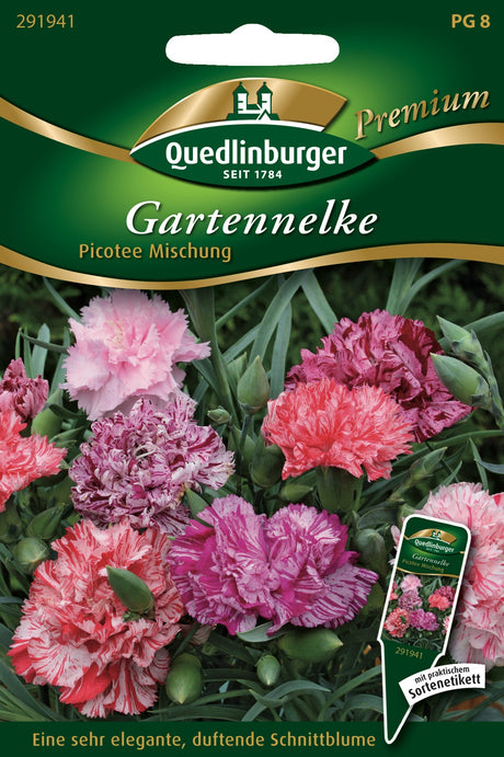 Quedlinburger Saatgut Gartennelke „Picotee Mischung“