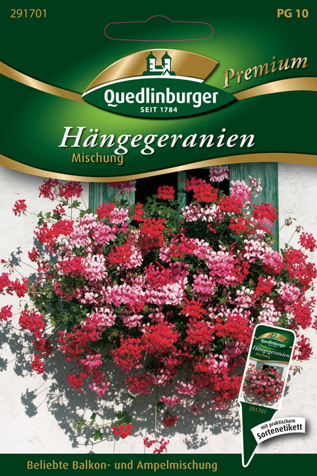 Quedlinburger Saatgut Geranien hängende Hängegeranien „Mischung“