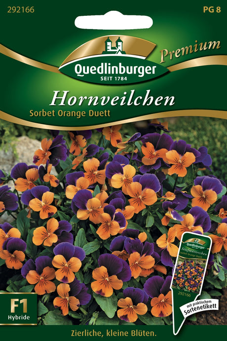 Quedlinburger Saatgut Hornveilchen „Sorbet Orange Duett“