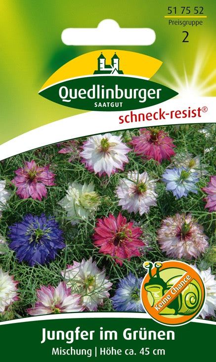 Quedlinburger Saatgut JUNGFER IM GRÜNEN „MISCHUNG“