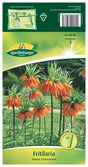 Quedlinburger Saatgut Kaiserkrone „Orange“ Blumenzwiebeln