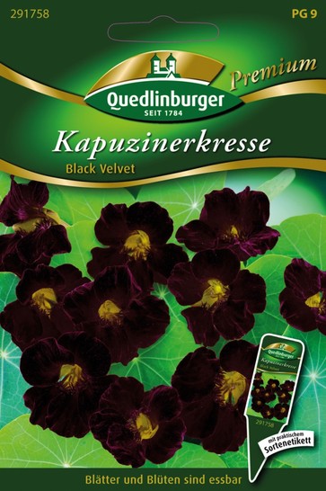 Quedlinburger Saatgut Kapuzinerkresse „Black Velvet“
