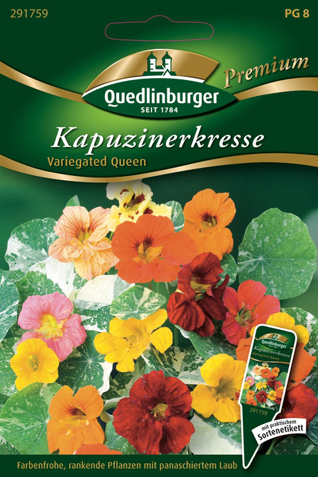 Quedlinburger Saatgut Kapuzinerkresse „Variegated Queen“
