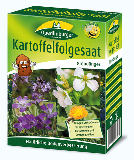 Quedlinburger Saatgut Kartoffelfolgesaat Gründünger