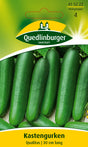 Quedlinburger Saatgut Kastengurken „Qualitas“