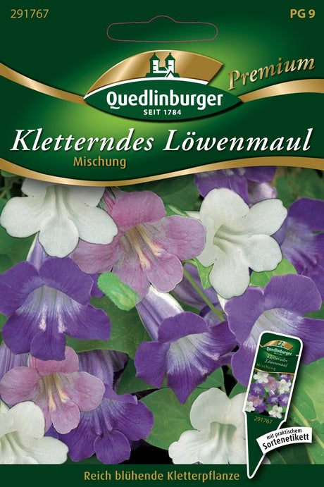 Quedlinburger Saatgut Kletterndes „Löwenmaul“ (Mischung)