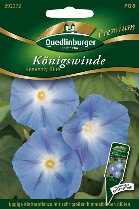 Quedlinburger Saatgut Königswinde „Heavenly Blue“