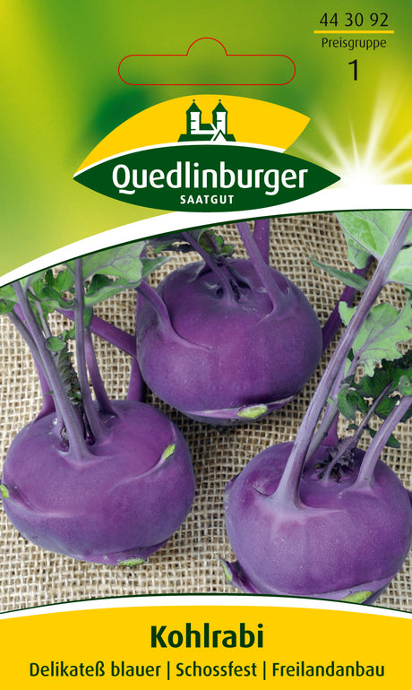 Quedlinburger Saatgut Kohlrabi „Delikatess blauer“
