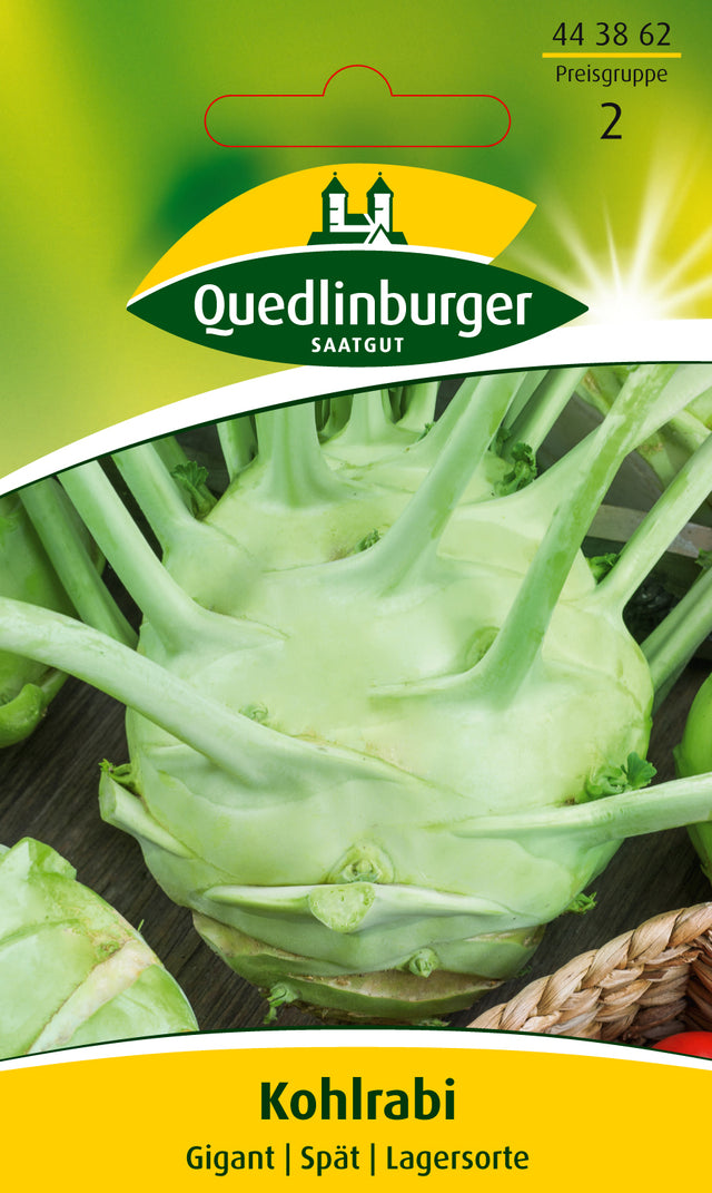 Quedlinburger Saatgut Kohlrabi „Gigant“