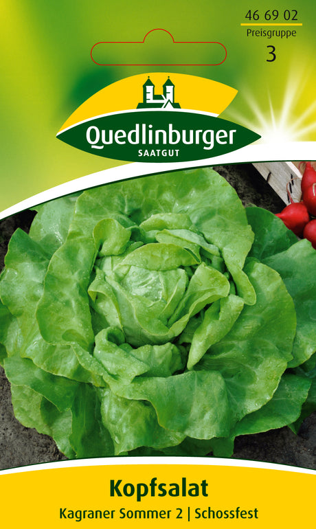 Quedlinburger Saatgut Kopfsalat „Kagraner Sommer 2“