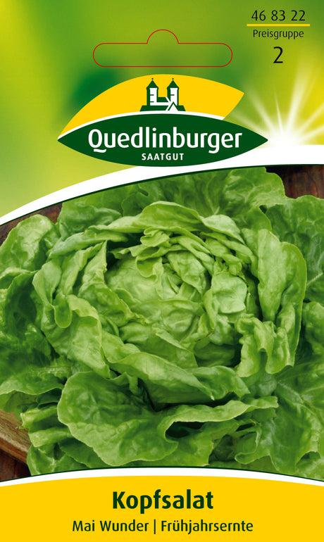 Quedlinburger Saatgut Kopfsalat „Mai Wunder“